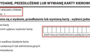 Ile kosztuje wymiana karty kierowcy? Sprawdź, by uniknąć niepotrzebnych wydatków